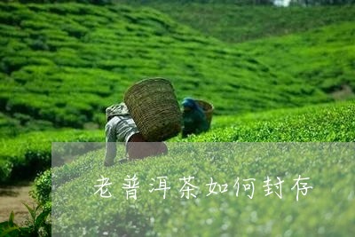 老普洱茶如何封存/2023040999290