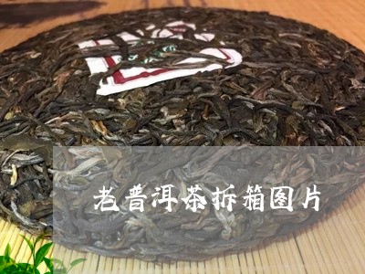 老普洱茶拆箱图片/2023041344058