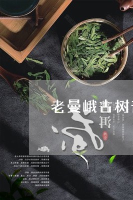 老曼峨古树普洱茶/2023031893937