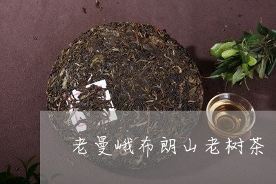 老曼峨布朗山老树茶/2023041640717