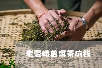 老曼峨普洱茶价钱/2023031749372