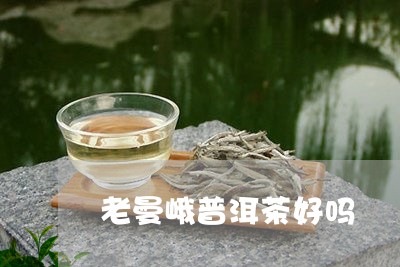 老曼峨普洱茶好吗/2023040169270