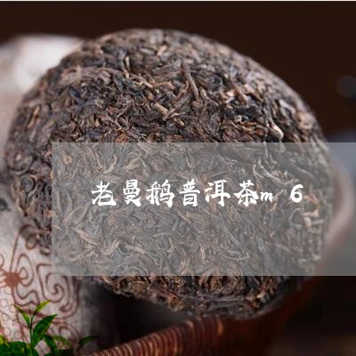 老曼鹅普洱茶m6/2023033088384