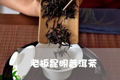 老板昆明普洱茶/2023040937371