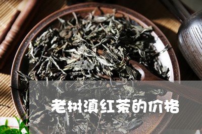 老树滇红茶的价格/2023032901695