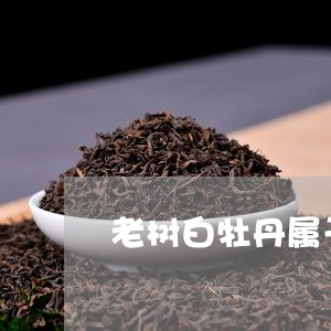 老树白牡丹属于什么茶类/2023032785250