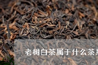 老树白茶属于什么茶系列/2023032772936