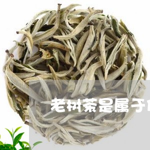 老树茶是属于什么茶/2023041594048