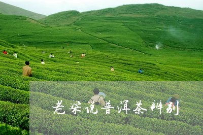 老梁说普洱茶辨别/2023040100736