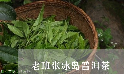 老班张冰岛普洱茶/2023041319591