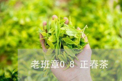 老班章08正春茶/2023032889469