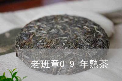 老班章09年熟茶/2023032902604