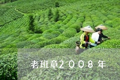 老班章2008年/2023032846281