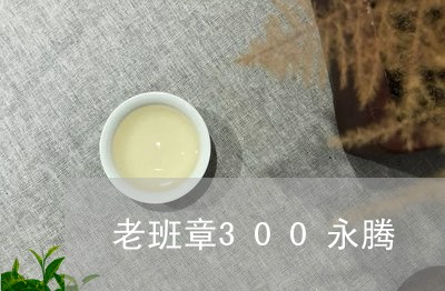 老班章300永腾/2023032917383