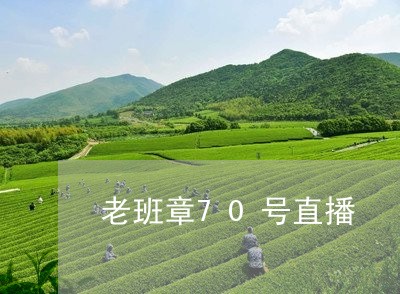 老班章70号直播/2023032206048