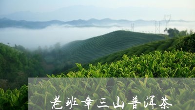 老班章三山普洱茶/2023031749480