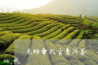 老班章代言普洱茶/2023031740614