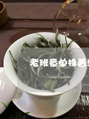 老班章单株普洱茶/2023031716150