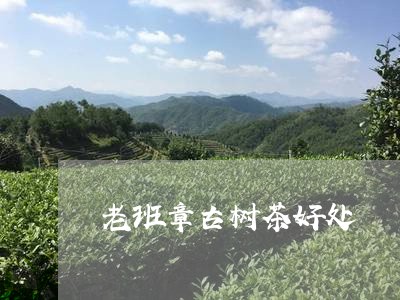 老班章古树茶好处/2023032947241