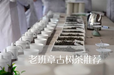 老班章古树茶推荐/2023032979514