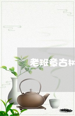 老班章古树茶茶号/2023032971847