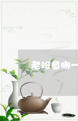 老班章哪一户的好喝/2023031949493