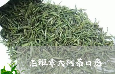 老班章大树茶口感/2023032943926