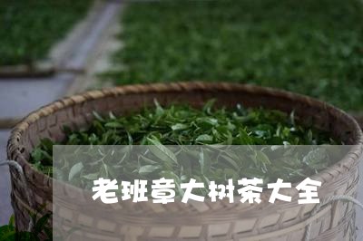 老班章大树茶大全/2023032816049