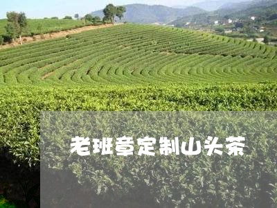 老班章定制山头茶/2023032930795