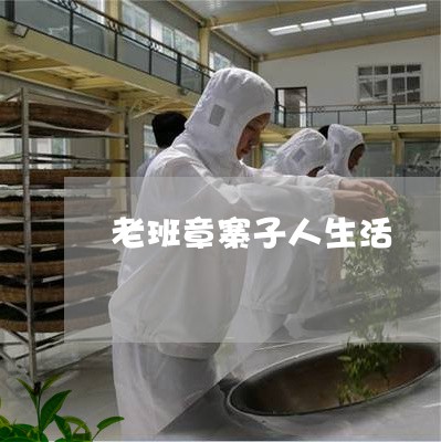 老班章寨子人生活/2023032912718