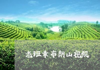 老班章布朗山视频/2023032828248