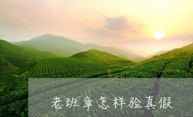 老班章怎样验真假/2023032826171