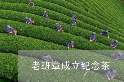 老班章成立纪念茶/2023032980614