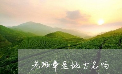 老班章是地方名吗/2023032960593