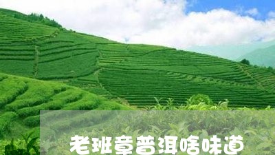 老班章普洱啥味道/2023032854048