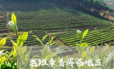 老班章普洱茶地区/2023031785059