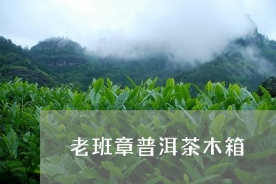 老班章普洱茶木箱/2023031857282