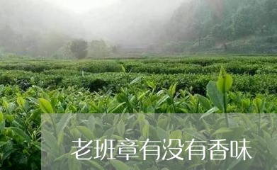 老班章有没有香味/2023032833949