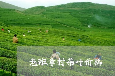 老班章村茶叶价格/2023032803849