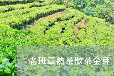 老班章熟茶散茶金芽/2023041551403