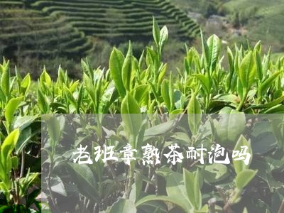 老班章熟茶耐泡吗/2023032825159