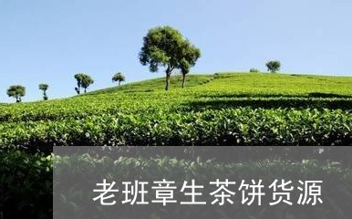 老班章生茶饼货源/2023032992825