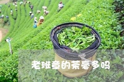 老班章的茶毫多吗/2023032960603