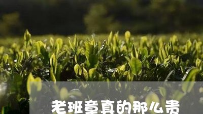 老班章真的那么贵/2023032938714