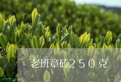 老班章砖250克/2023032895959