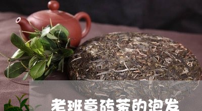 老班章砖茶的泡发/2023032947271