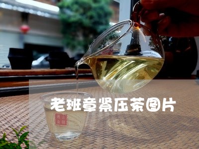 老班章紧压茶图片/2023032937472