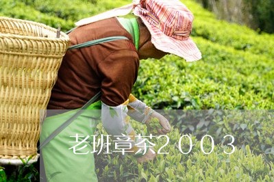 老班章茶2003/2023032837462