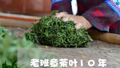 老班章茶叶10年/2023032808492