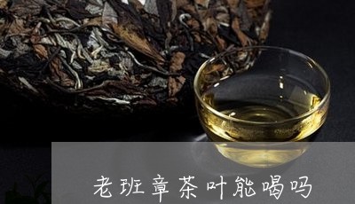 老班章茶叶能喝吗/2023032983858